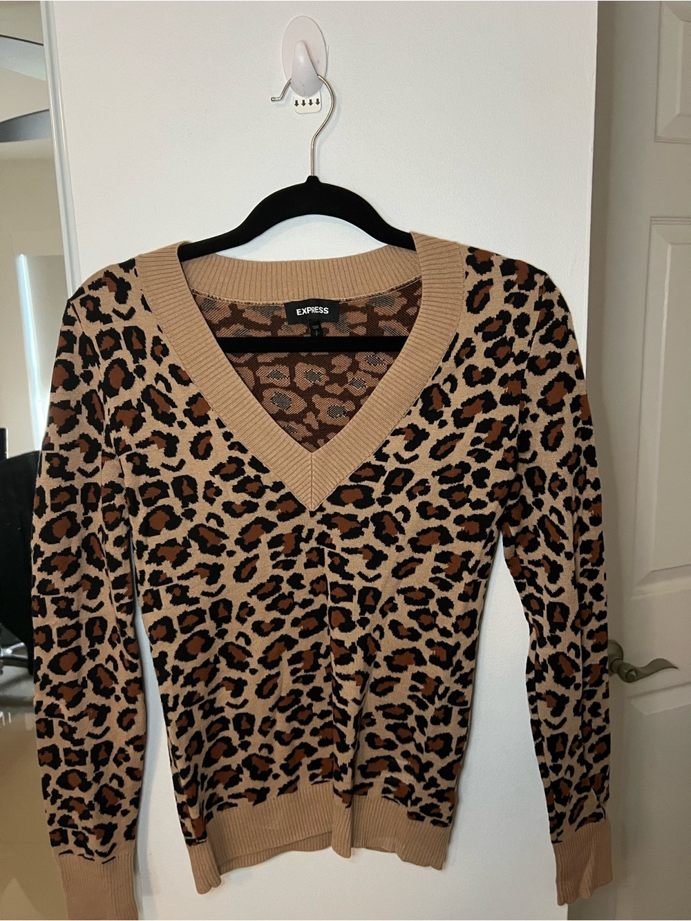 Express Women's Leopard V-Neck Sweater in Tan and Brown